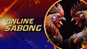 gamesph website image 206 showing Online Sabong Fun